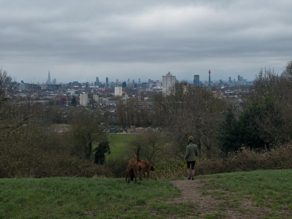Quels jeux de chasse pouvez-vous proposer pour stimuler l'instinct naturel de votre chat ?